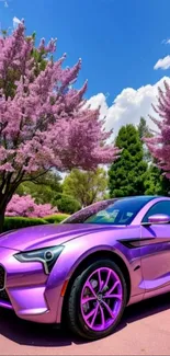 Purple car under pink cherry blossoms with blue sky.