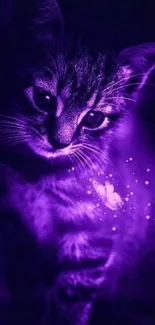 Purple cat with glowing accents and a mystical, dark background.