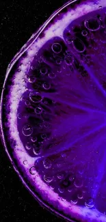 Vibrant purple citrus slice against black background.