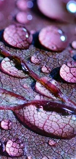 Close-up of purple leaf with dewdrops, showcasing intricate textures.