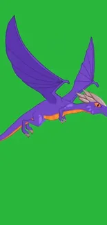 Purple dragon flying on a bright green background wallpaper.