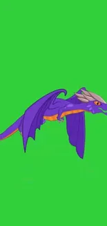 Purple dragon flying on a bright green background.