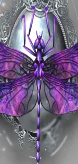 Vibrant purple dragonfly with mystical design on mobile wallpaper.