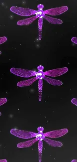 Purple dragonflies on a black background wallpaper.