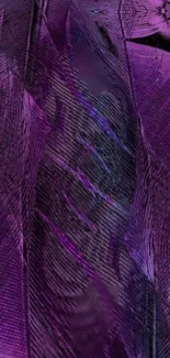 Vibrant purple feather texture wallpaper for mobile devices.