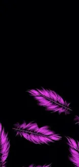 Vibrant purple feathers on a black mobile background.