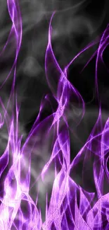 Vibrant purple flames on a black background.