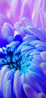 Vibrant purple flower with detailed petals for mobile wallpaper.