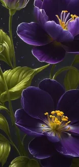 Purple flowers with green leaves wallpaper.