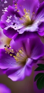 Purple floral design with vibrant petals, perfect for mobile wallpaper.