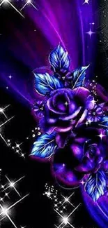 Vibrant purple flowers with sparkling stars on a dark background.