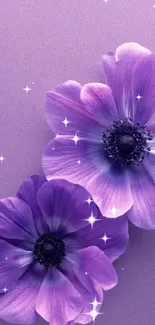 Purple floral mobile wallpaper with vibrant flowers.