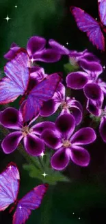 Vibrant purple flowers with butterflies on a dark background.