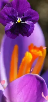 Vibrant purple floral wallpaper with detailed petals.