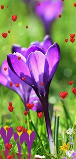 Purple flowers among lush green grass with small red hearts.