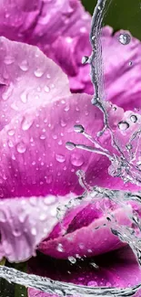 Purple flower with water droplets and glass shards effect.