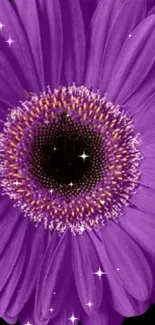 Vibrant purple flower wallpaper with sparkling effect.