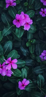 Purple flowers with lush green leaves mobile wallpaper.