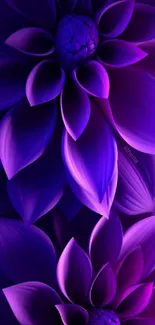 Vibrant purple flower petals close-up wallpaper.