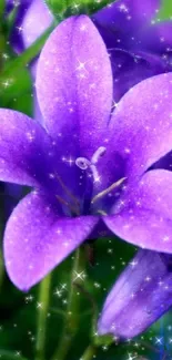 Close-up of a vibrant purple flower with lush green background.