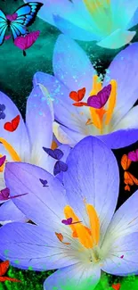 Vibrant purple flowers with a butterfly on a black background.