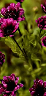 Vibrant purple flowers with lush green leaves.