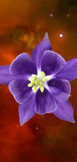 Purple flower on cosmic orange background wallpaper.