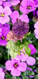 Vibrant wallpaper featuring purple flowers and greenery.