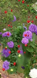 Vibrant purple flowers with red hearts in a lush green garden.