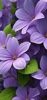 Purple flowers with lush green leaves.