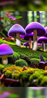 Purple mushrooms in a lush, green forest setting.