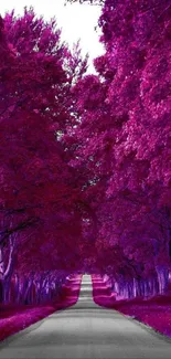 Vibrant purple forest path under a colorful canopy.