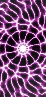 Vibrant purple fractal wallpaper with intricate patterns and electric design.