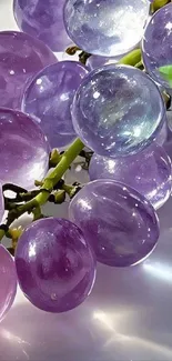 Close-up image of vibrant purple grape cluster.