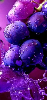 Vibrant purple grapes with water splashes, perfect for mobile wallpaper.