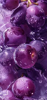 Close-up of vibrant purple grapes with water droplets, perfect for a mobile wallpaper.