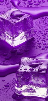 Close-up of purple ice cubes with water droplets