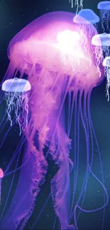 Glowing purple jellyfish against a dark ocean backdrop.