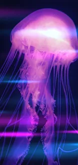 Close-up of glowing purple jellyfish in dark background, perfect for phone wallpaper.