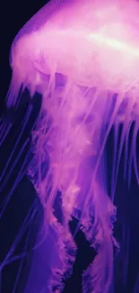 Purple jellyfish glowing against a dark ocean background as mobile wallpaper.