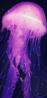 Purple jellyfish mobile wallpaper with vibrant ocean theme.