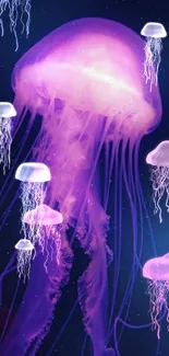 Glowing purple jellyfish against a dark background, perfect mobile wallpaper.