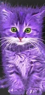 Purple kitten with green eyes on black background.