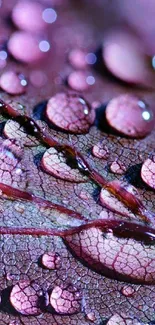 Purple leaf with glistening droplets and intricate texture.