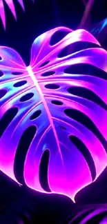 Vibrant glowing tropical leaf with purple hues.