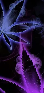 Vibrant purple cannabis leaves with a smoky effect on a dark background.