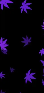 Purple leaves on a black background create a striking wallpaper design.