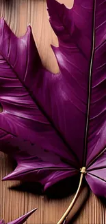 Purple leaf on wooden backdrop wallpaper