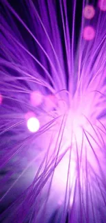 Vibrant purple light burst wallpaper with glowing bokeh effects.