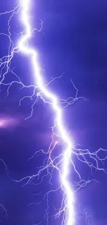 Purple lightning bolt against a dark cloudy sky.